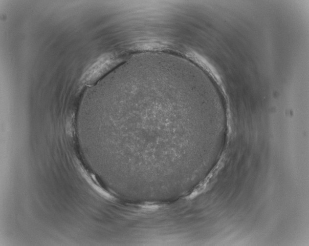 X0000066970105200603271218