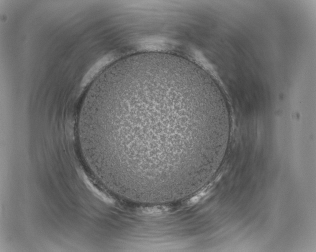 X0000066970106200603271218