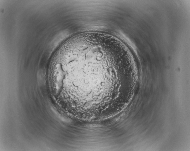 X0000066970107200603271218