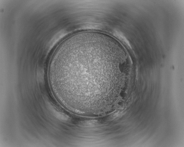 X0000066970108200603271218