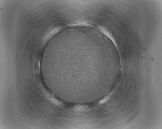 X0000066970109200603271218