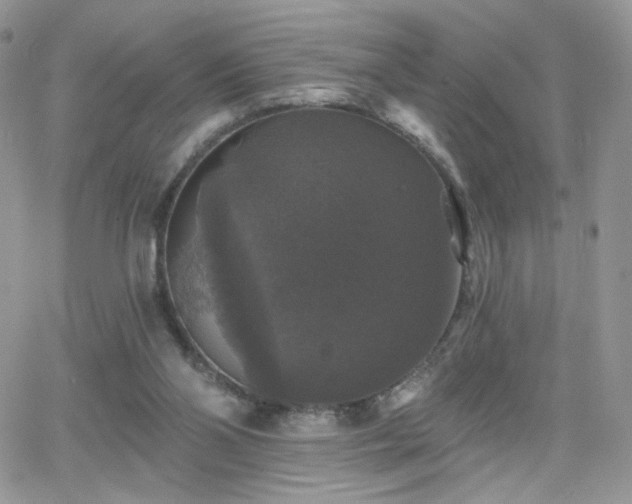 X0000066970110200603271218