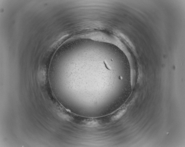 X0000066970113200603271218