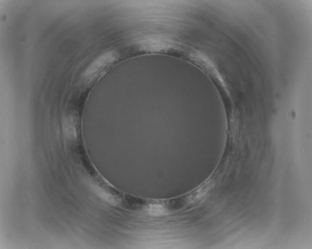 X0000066970114200603271218