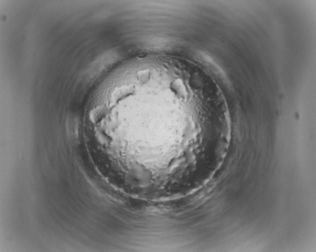 X0000066970115200603271218