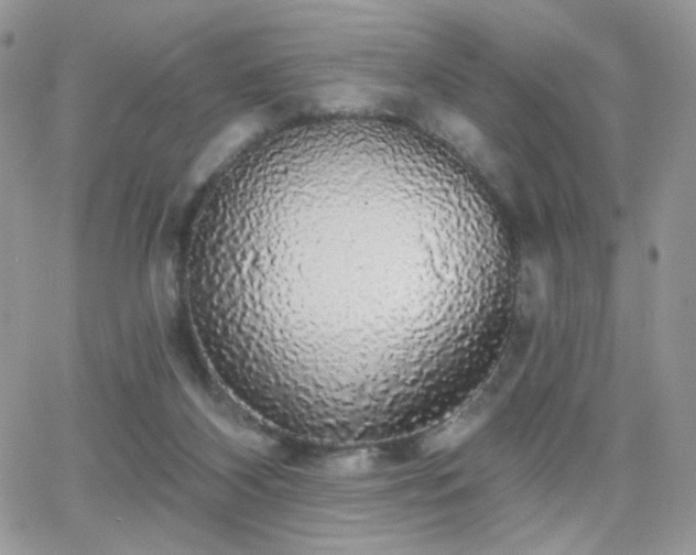 X0000066970116200603271218