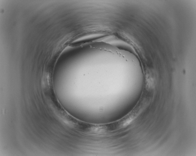 X0000066970117200603271218