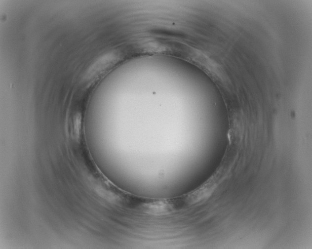 X0000066970118200603271218