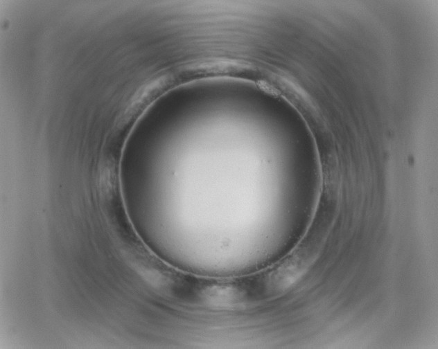 X0000066970119200603271218