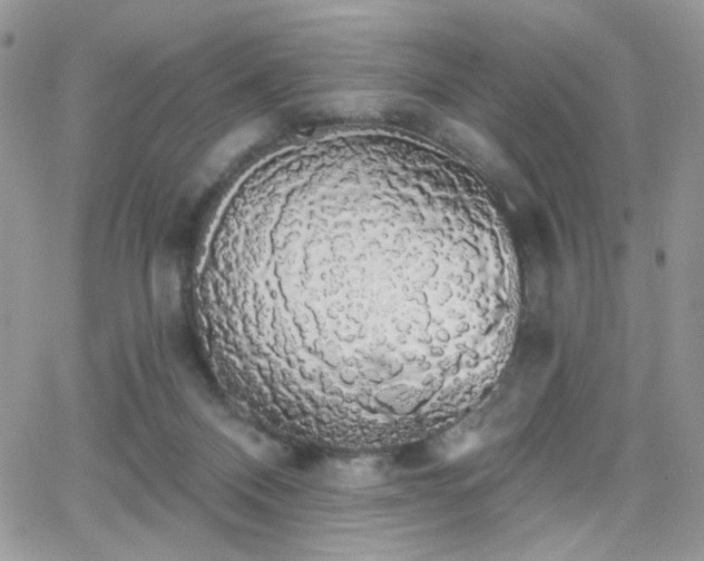 X0000066970120200603271218