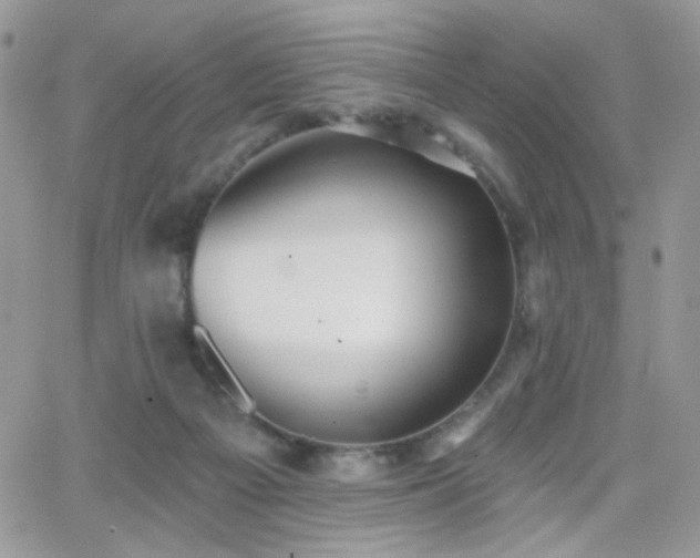 X0000066970121200603271218