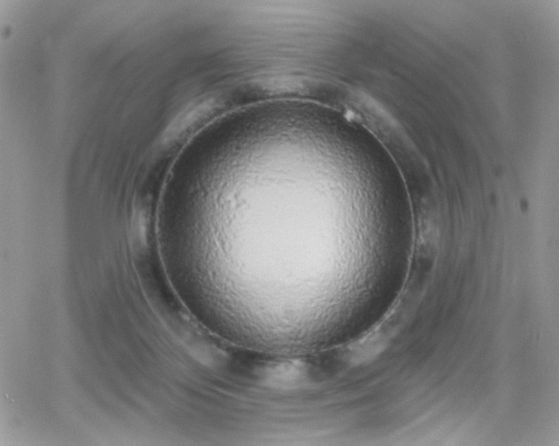 X0000066970124200603271218