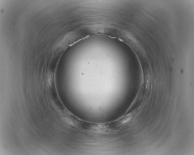 X0000066970125200603271218