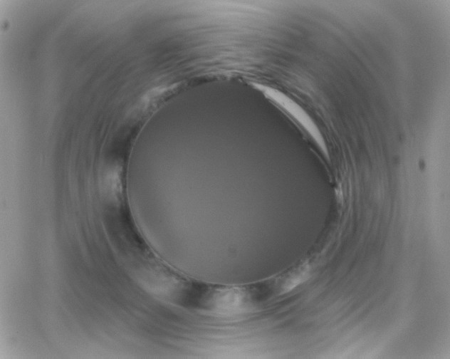 X0000066970127200603271218