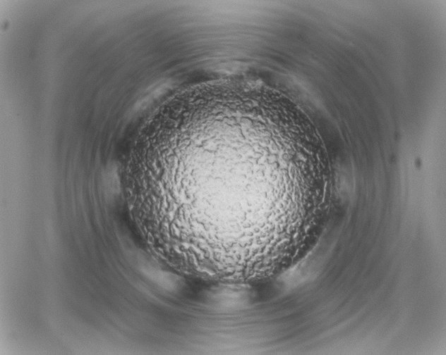 X0000066970128200603271218