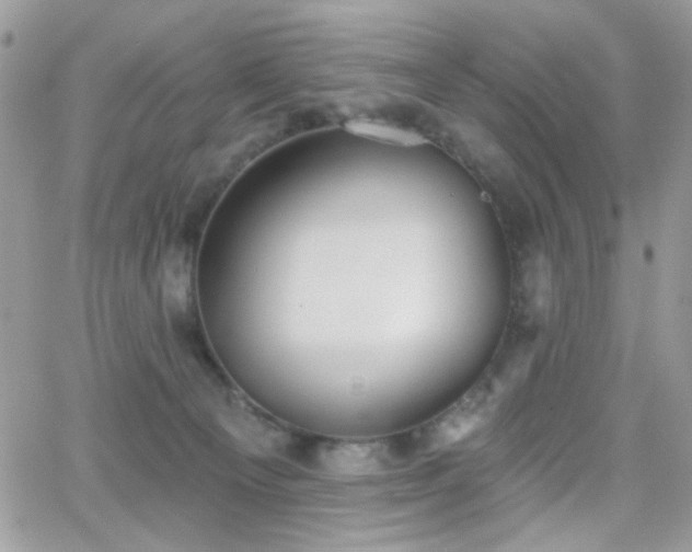 X0000066970129200603271218