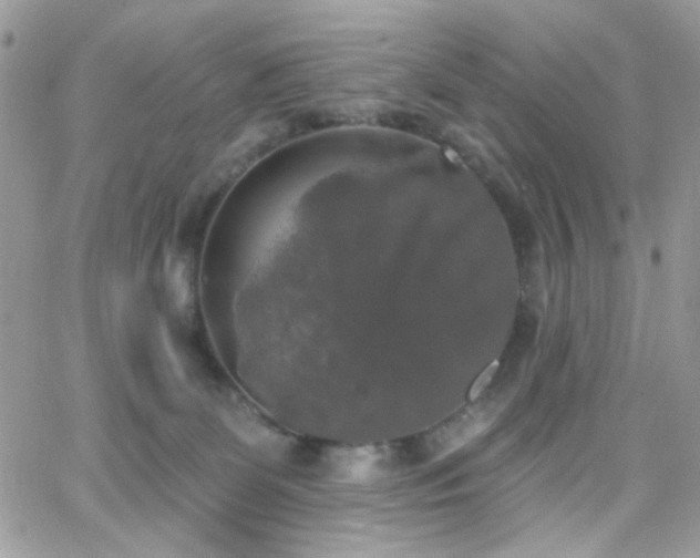 X0000066970131200603271218