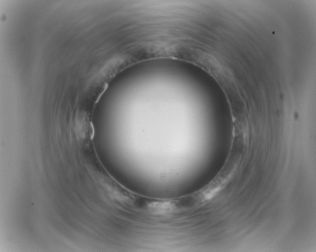 X0000066970133200603271218