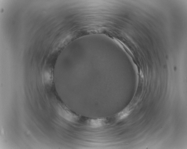 X0000066970134200603271218