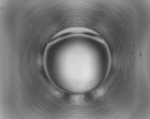 X0000066970135200603271218