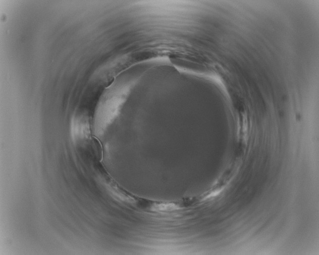 X0000066970137200603271218