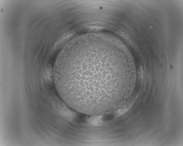 X0000066970138200603271218