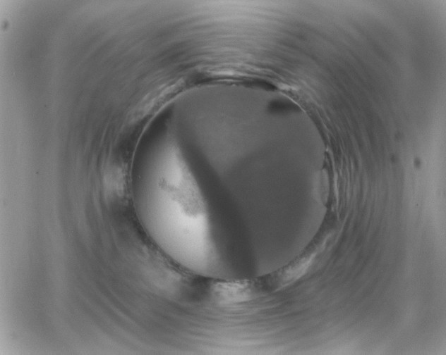 X0000066970139200603271218