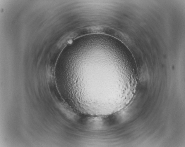 X0000066970140200603271218