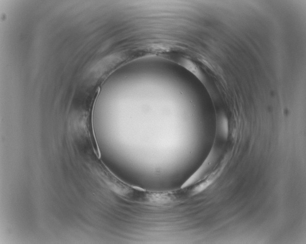 X0000066970141200603271218