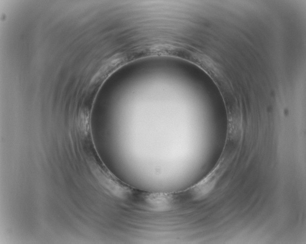 X0000066970142200603271217