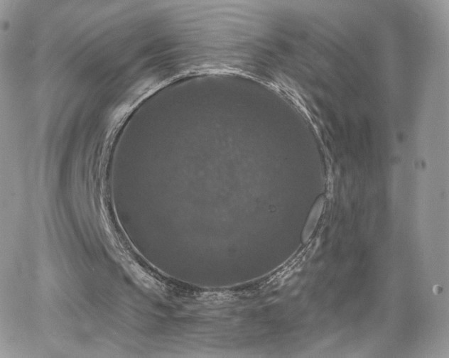 X0000066970145200603271217