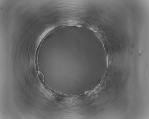 X0000066970147200603271217