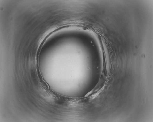 X0000066970148200603271217