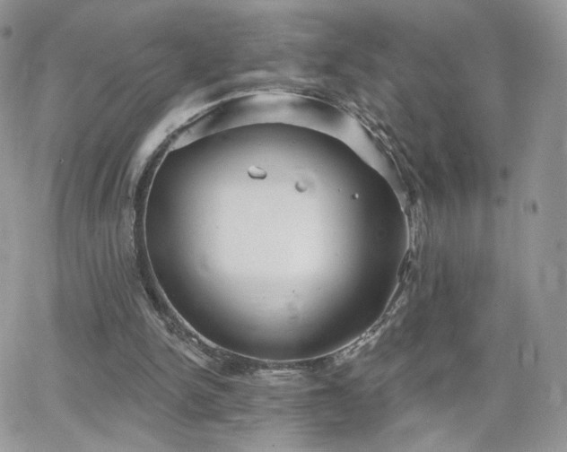 X0000066970150200603271217