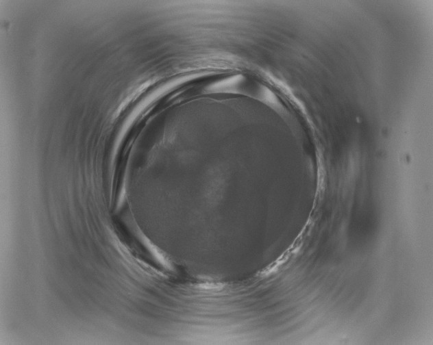 X0000066970154200603271217