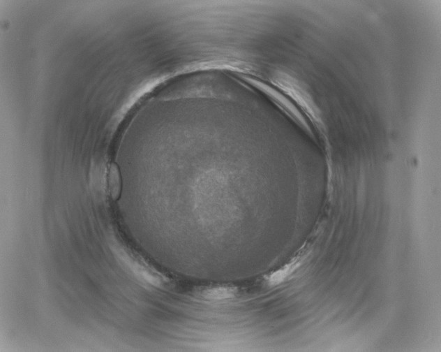 X0000066970156200603271217