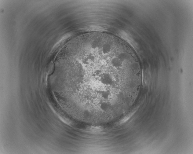 X0000066970157200603271217