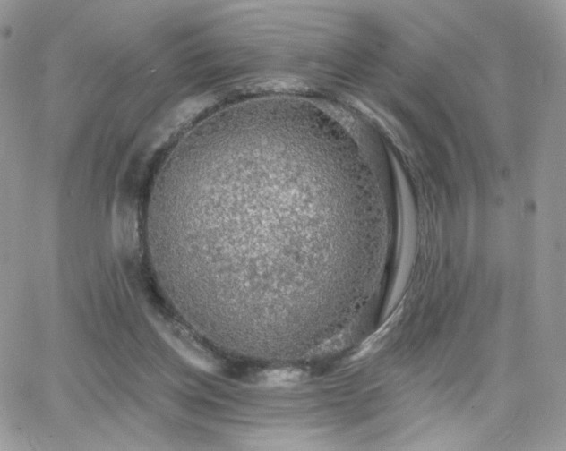 X0000066970158200603271217