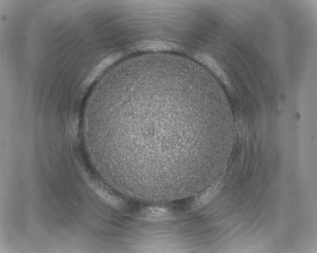 X0000066970159200603271217