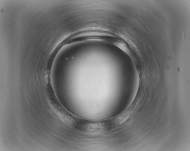 X0000066970160200603271217