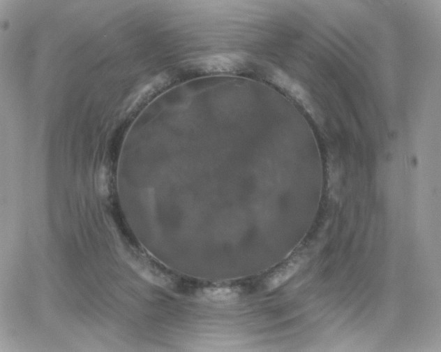 X0000066970161200603271217