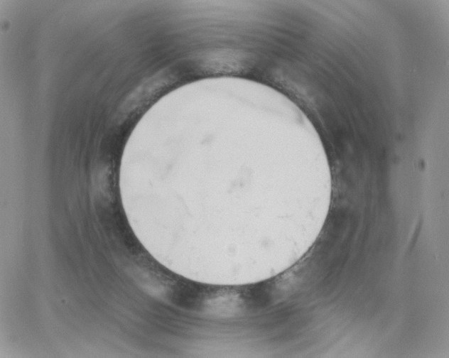 X0000066970162200603271217