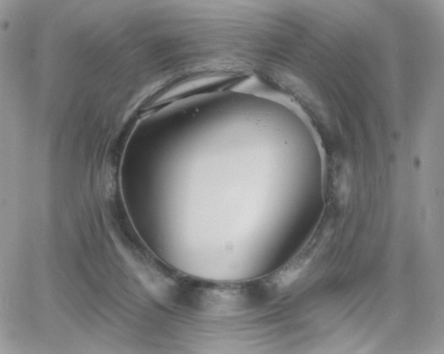 X0000066970164200603271217