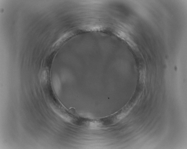 X0000066970165200603271217