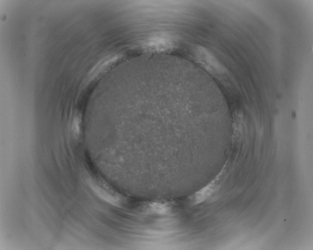 X0000066970166200603271217