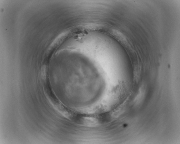 X0000066970167200603271217