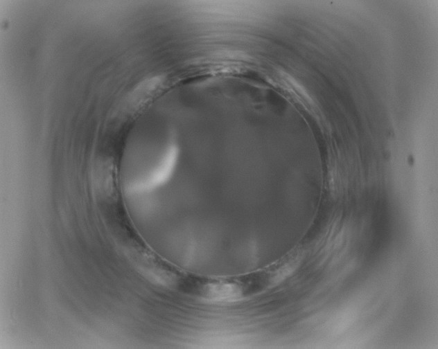 X0000066970169200603271217