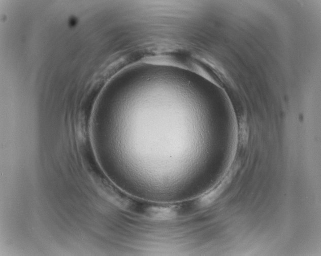 X0000066970170200603271217