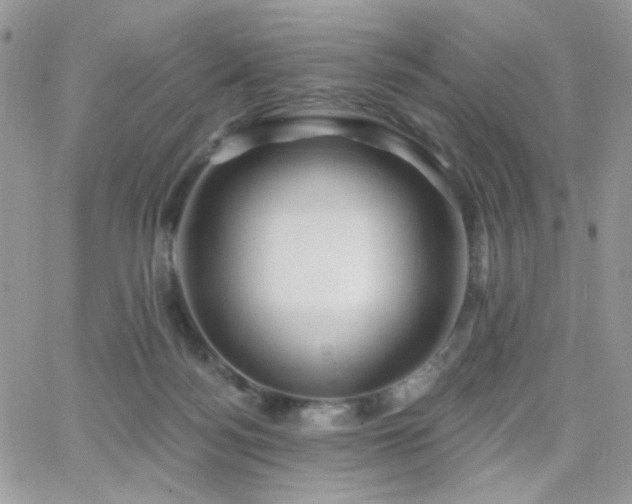 X0000066970172200603271217