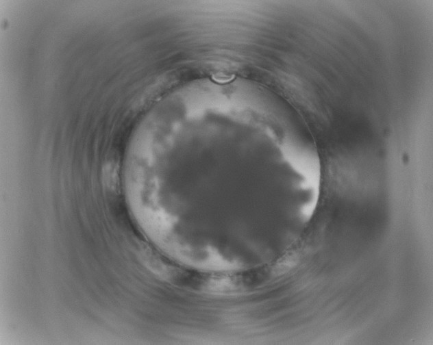 X0000066970177200603271217